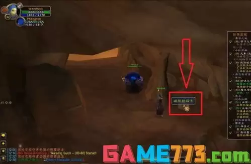 魔兽世界致命剧毒任务如何过