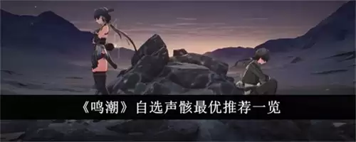 鸣潮公测自选声骸选什么好 鸣潮公测自选声骸选择建议