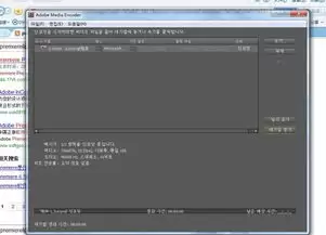 Premiere如何删除素材源面板所有标记