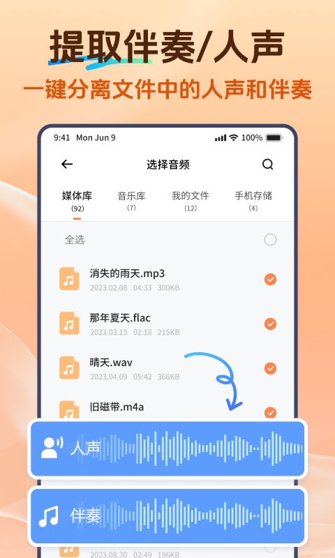 Viwoo音频格式转换器