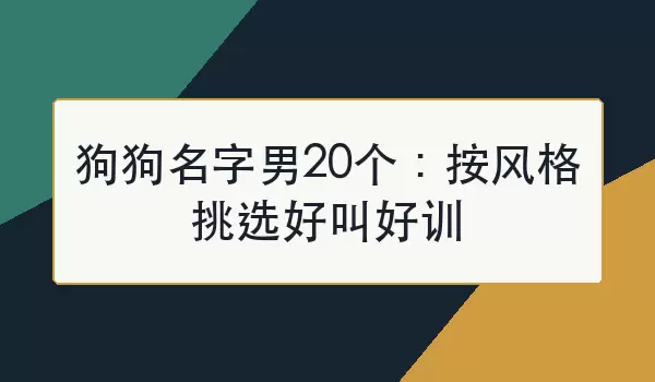 狗狗名字男20个：按风格挑选好叫好训