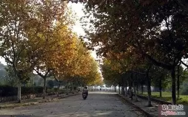 钟祥论坛如何查看我收藏的帖子-钟祥论坛怎样找到我收藏的帖子