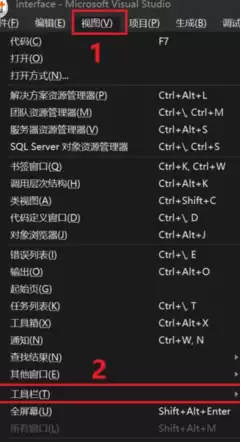 visual怎么部署-环境配置