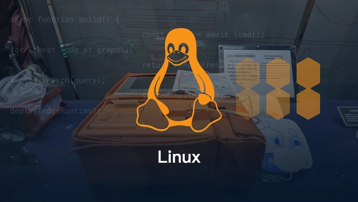 Codex 在 Linux 的 NTFS 项目中为何出现“AbsolutePathBuf deserialized without a base path”？