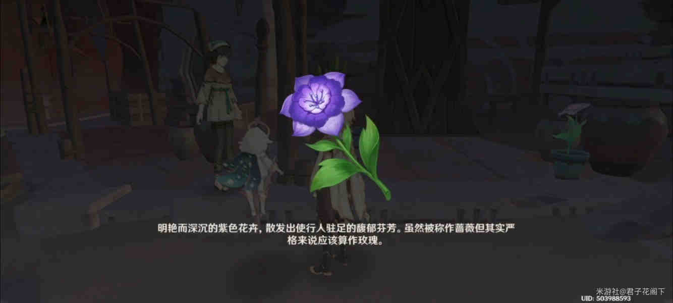 《原神》流放者花期任务完成攻略图文