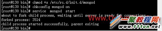 Linux下安装配置MongoDB数据库图解
