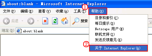 查看浏览器的“关于 Internet Explorer”信息