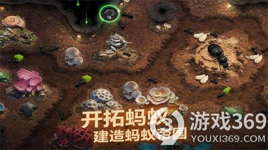《小小蚁国》科技树系统介绍 进化菌丝