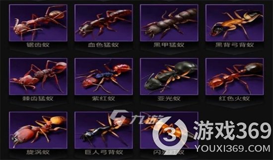 《小小蚁国》科技树系统介绍 进化菌丝