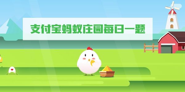 手游网