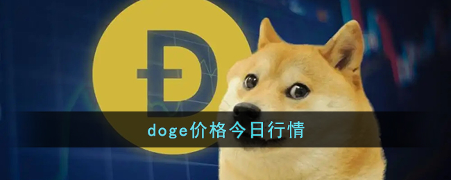 doge价格今日行情