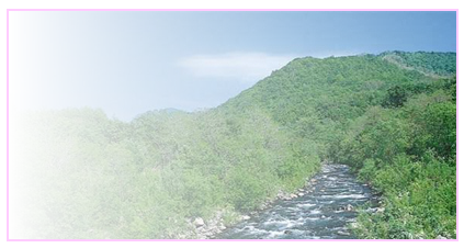 img_64cca3561642936.png