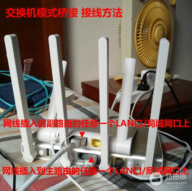 img_64d4a502be62c32.png