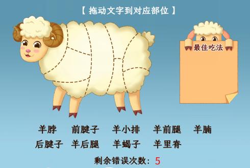 《小小收纳》美味羊羊怎么过