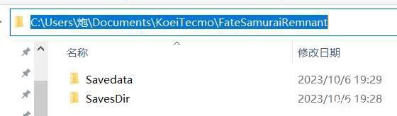 《FateSamuraiRemnant》存档位置介绍