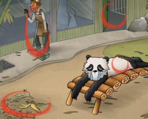 《你是不是虾》熊猫回家怎么过