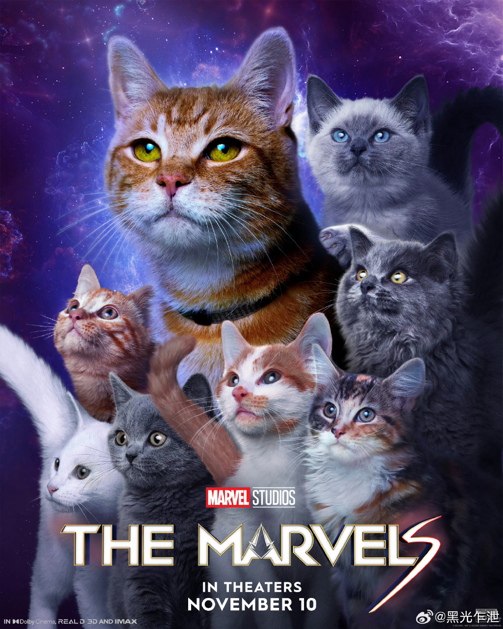 《惊奇队长2》发布“爱猫日”特别海报