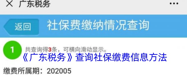 《广东税务》查询社保缴费信息方法