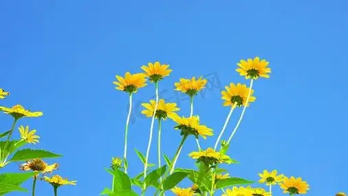 u=3016845403,3282682980&fm=253&fmt=auto&app=138&f=JPEG.webp.jpg