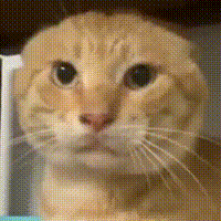 13ae39ee76c6a7ef14934d00bbfaaf51f2de66a5.gif