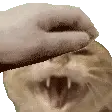 d4629afe3d2cf44887477b8bbd2a775e1922225776.gif