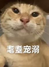 screenshot_2025-04-23_15-12-26.png
