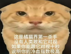 screenshot_2025-04-22_14-10-54.png