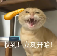 screenshot_2025-04-23_15-19-06.png
