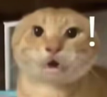screenshot_2025-04-22_14-20-19.png