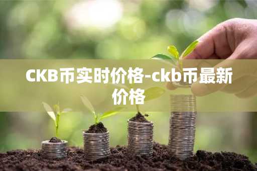 CKB币实时价格-ckb币最新价格-第1张图片