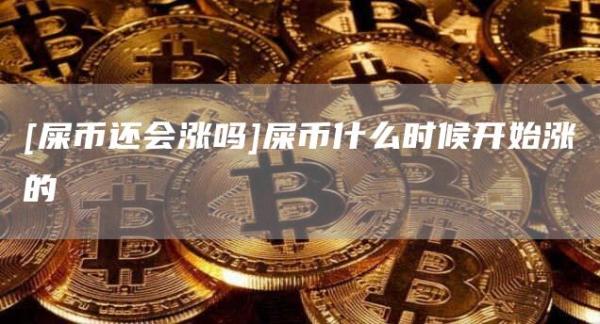 [屎币还会涨吗]屎币什么时候开始涨的-第1张图片