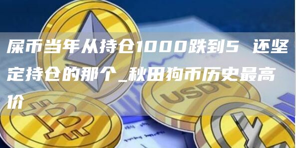 屎币当年从持仓1000跌到5 还坚定持仓的那个_秋田狗币历史最高价-第1张图片