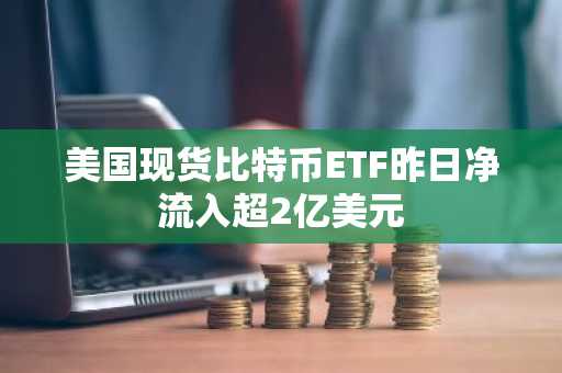 美国现货比特币ETF昨日净流入超2亿美元-第1张图片