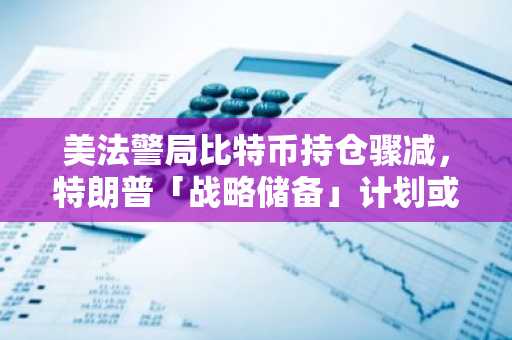 美法警局比特币持仓骤减，特朗普「战略储备」计划或面临重大调整-第1张图片