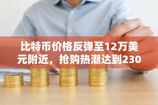 比特币价格反弹至12万美元附近，抢购热潮达到230亿美元-第1张图片