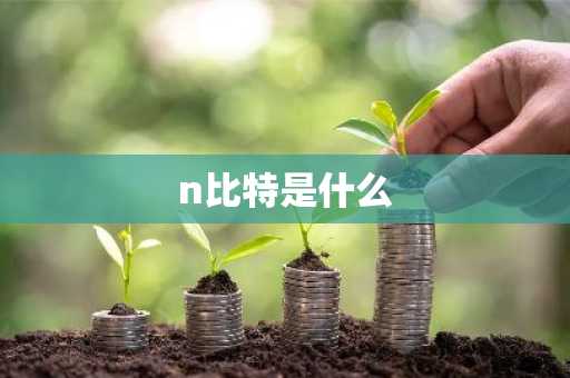 n比特是什么-第1张图片