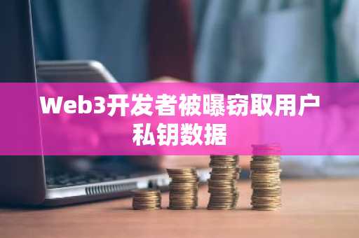 Web3开发者被曝窃取用户私钥数据-第1张图片