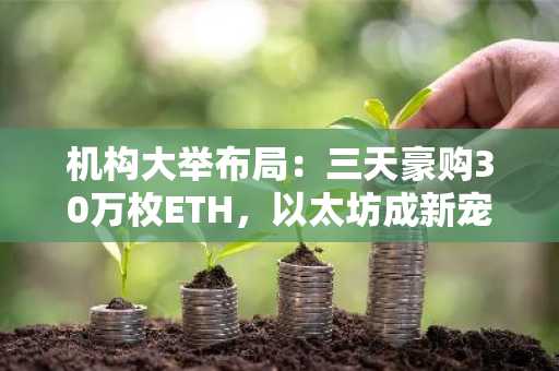 机构大举布局：三天豪购30万枚ETH，以太坊成新宠-第1张图片