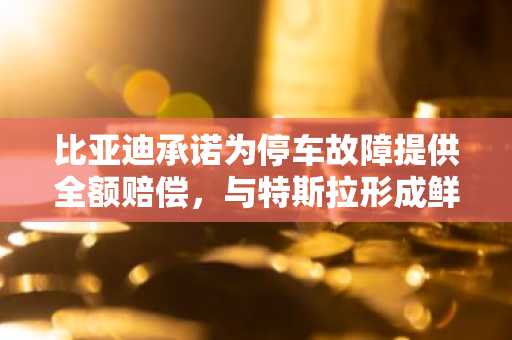 比亚迪承诺为停车故障提供全额赔偿，与特斯拉形成鲜明对比-第1张图片