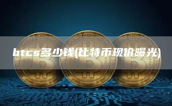 btcs多少钱 - 比特币现价曝光-第1张图片