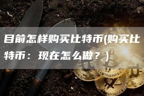 目前怎样购买比特币 - 购买比特币：现在怎么做？-第1张图片