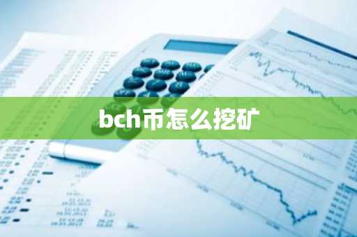 bch币怎么挖矿-第1张图片