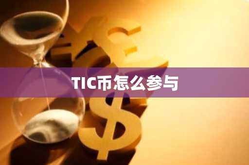 TIC币怎么参与-第1张图片