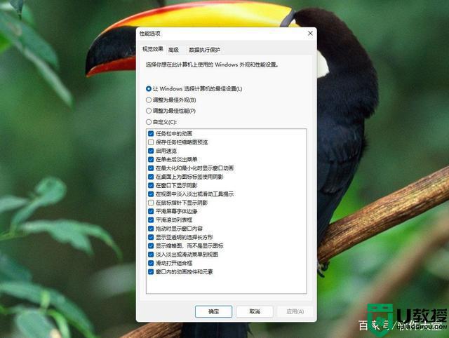 windows11动画效果怎么关闭 win11关闭特效和动画的步骤