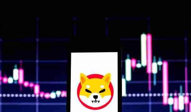 柴犬币的山寨季节策略：SHIB币会跑赢大盘吗？