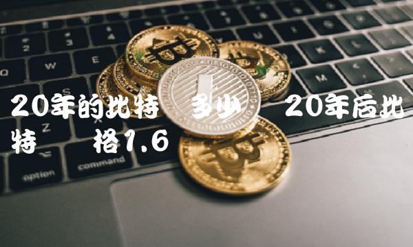 20年后比特币价格1.6亿-第1张图片