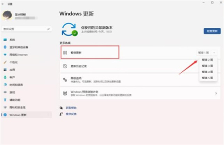 怎么不让win11自动更新？win11关闭自动更新方法