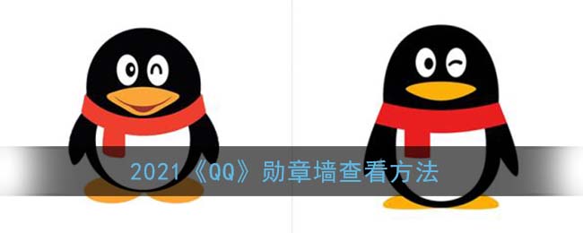 2021《QQ》勋章墙查看方法