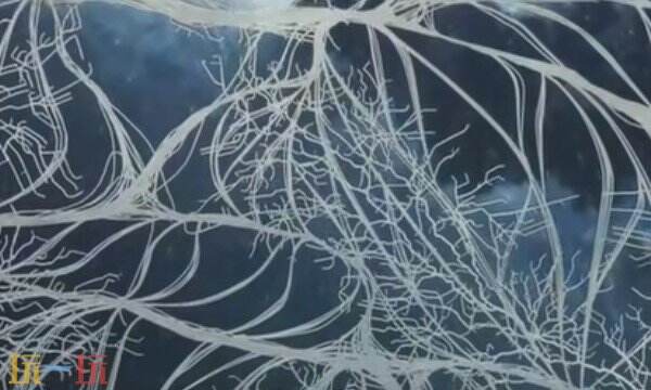 明末渊虚之羽无名之肉是什么 无名之肉效果介绍