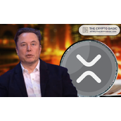如果XRP市值达到埃隆·马斯克的净资产，价格会是多少